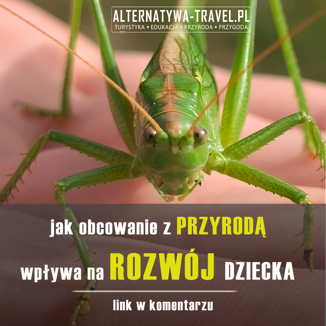 Edukacja w Przyrodzie